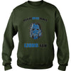 Image of lions Tshirt lions hoodie