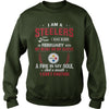 Image of STEELERS  02 Fan