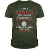 Image of STEELERS  01 Fan
