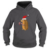 Image of Funny Hedgehog in Santa Hat Christmas T-shirt
