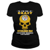 Image of Steelers Fan TShirt