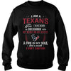 Image of TEXANS Fan