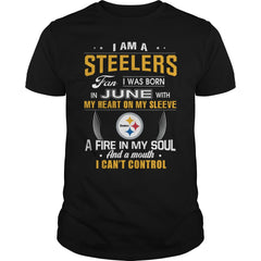 STEELERS  06 Fan