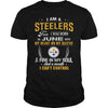 Image of STEELERS  06 Fan