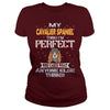 Image of CAVALIER SPANIEL Thinks I'm Perfect