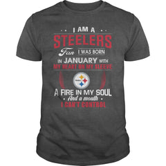 STEELERS  01 Fan