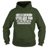 Image of STEELERS Fan