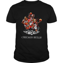 Chicago Bull Fan