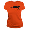 Image of Black cat