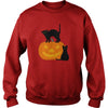 Image of Halloween Cat and Pumpkin 1