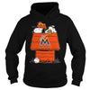 Image of VGSportBaseballSnoopyHouseMiamiMarlins