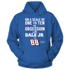 Image of Dale Earnhardt Jr. - Obsession Level