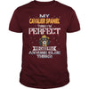 Image of CAVALIER SPANIEL Thinks I'm Perfect