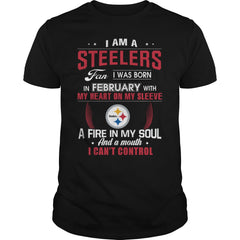 STEELERS  02 Fan