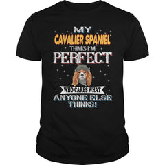 CAVALIER SPANIEL Thinks I'm Perfect