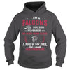 Image of FALCONS Fan