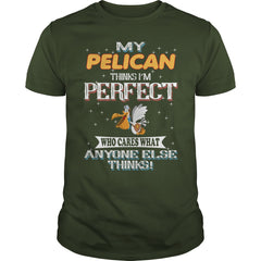 PELICAN Thinks I'm Perfect