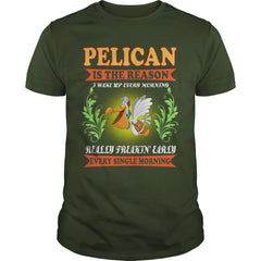 PELICAN Is Reason Wake Up