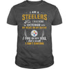 Image of STEELERS  10 Fan