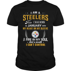STEELERS  01 Fan