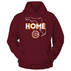 Bethune-Cookman Wildcats - Home With State Outline