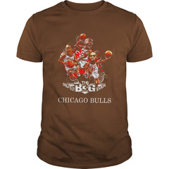 Chicago Bull Fan