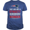 Image of they are not a dynasty  patriots