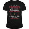 Image of CAVALIERS 11 Fan