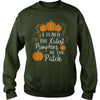 Image of I TEACH THE CUTEST PUMPKINS IN THE PATCH T-SHIRT