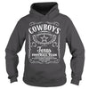 Image of Cowboys texas