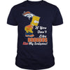 Image of If You Dont Like BRONCOS Hoodies