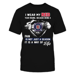 Chicago Fire Fan