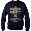 Image of CAVALIER SPANIEL Thinks I'm Perfect