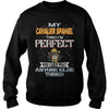 Image of CAVALIER SPANIEL Thinks I'm Perfect