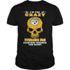 Image of Steelers Fan TShirt