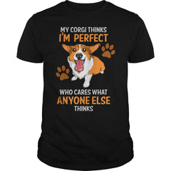 My Corgi Thinks Im Perfect