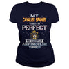 Image of CAVALIER SPANIEL Thinks I'm Perfect