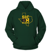 Image of SIC 'EM BEARS IN STATE OUTLINE - BAYLOR BEARS