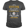 Image of STEELERS  08 Fan