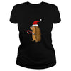 Image of Funny Hedgehog in Santa Hat Christmas T-shirt