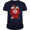 Image of VGSportBaseballSnoopyHouseBostonRedSox