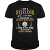 Image of STEELERS  08 Fan