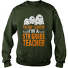 Image of Halloween You Cant Scare Me Im A 5th Grade Teacher