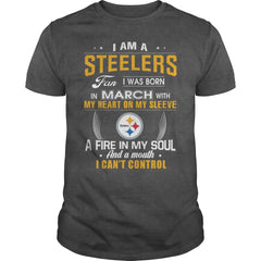 STEELERS  03 Fan
