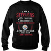 Image of STEELERS Fan