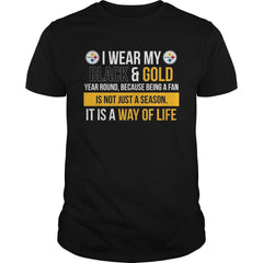Steelers Fan