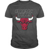 Image of Bulls