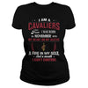 Image of CAVALIERS 11 Fan