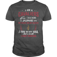CAVALIERS 6 Fan