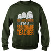 Image of Halloween You Cant Scare Me Im A 3rd Grade Teacher